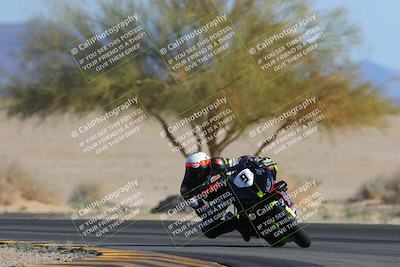 media/Feb-04-2023-SoCal Trackdays (Sat) [[8a776bf2c3]]/Turn 4 (Tree of Life 2pm)/